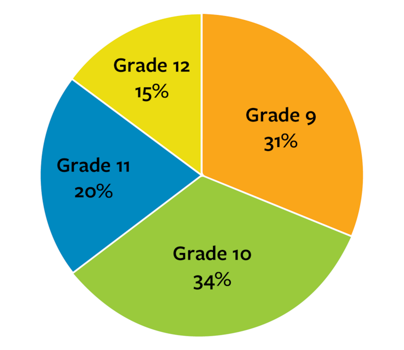 Survey pie chart
